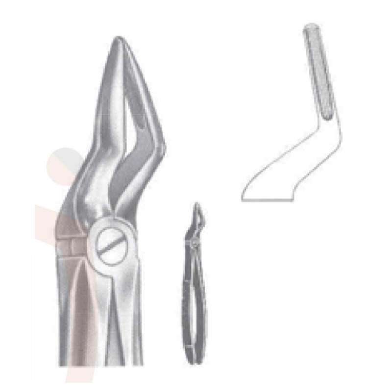 EXTRACTING FORCEPS